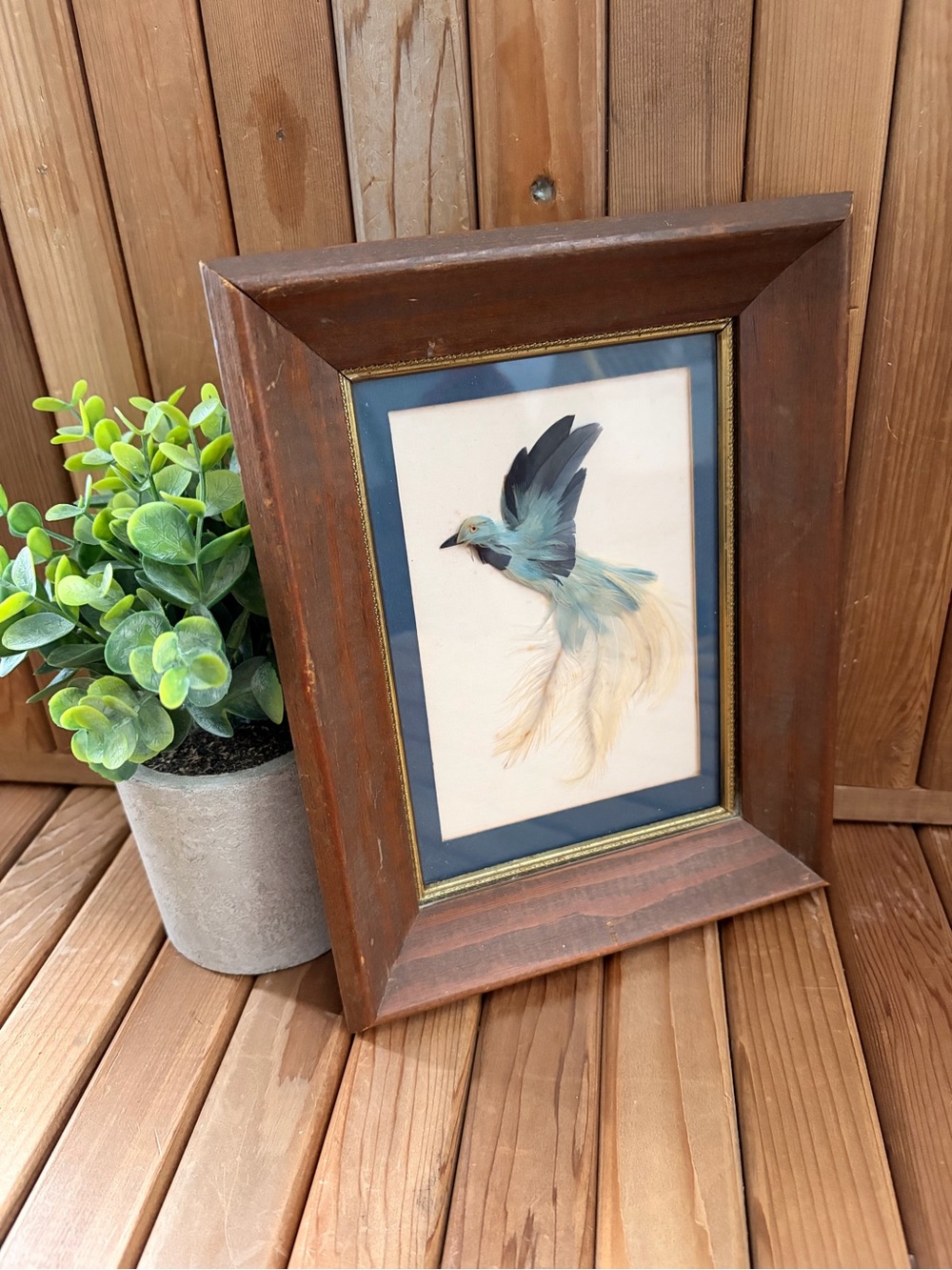Handcrafted Vintage Real Blue Bird Feather Wood Framed Art, Boho Folk Decor